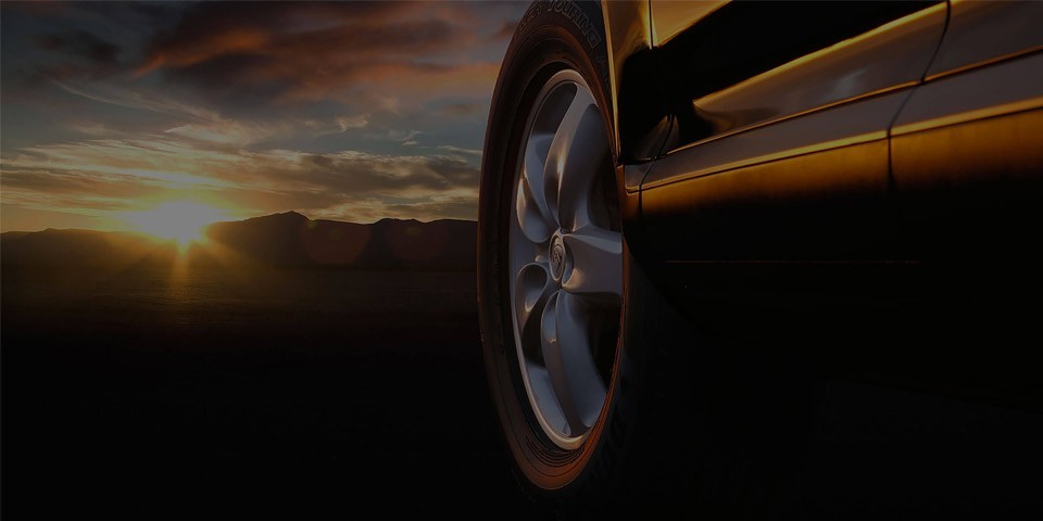 Dunlop Header 3